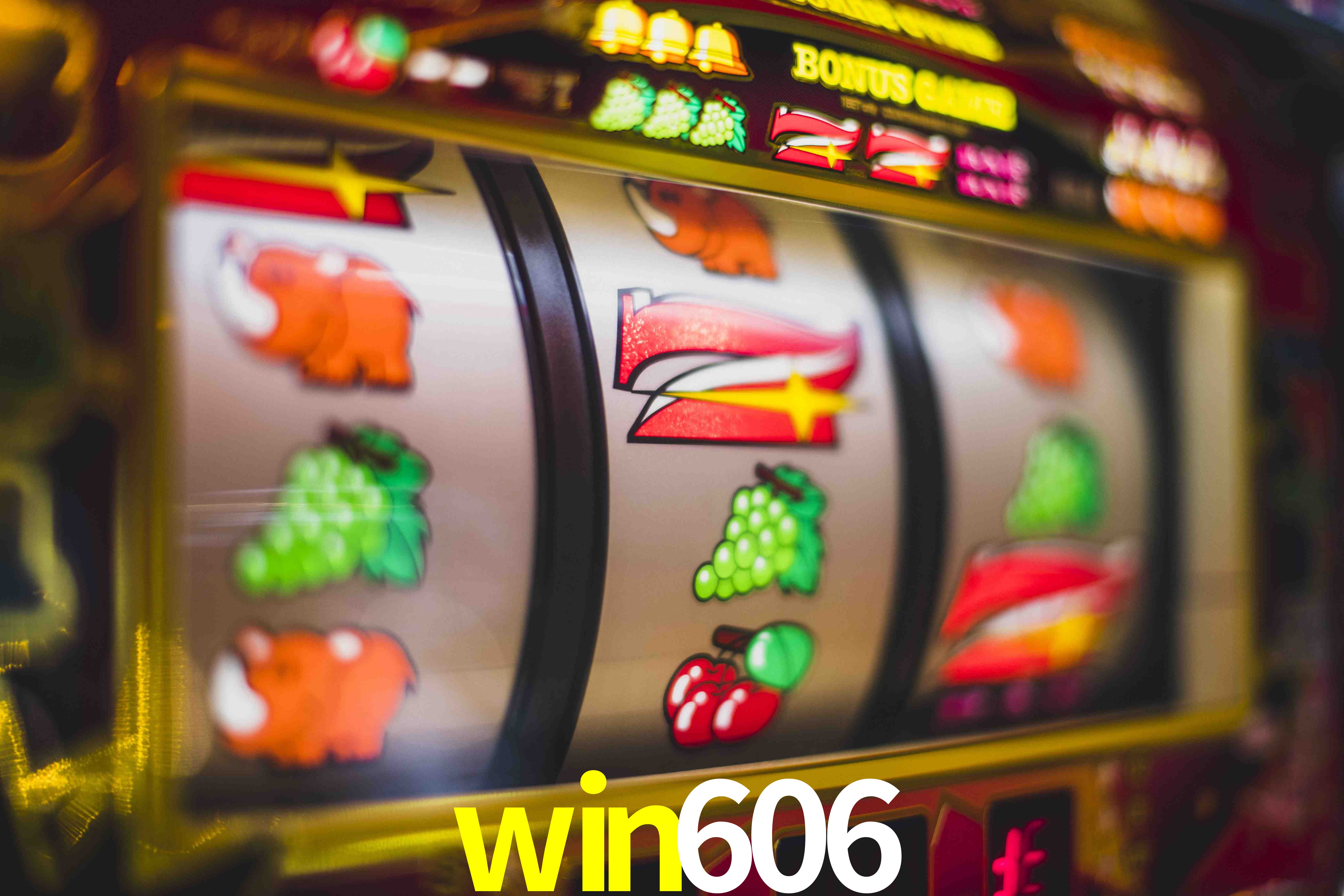 Sports Statistics win606